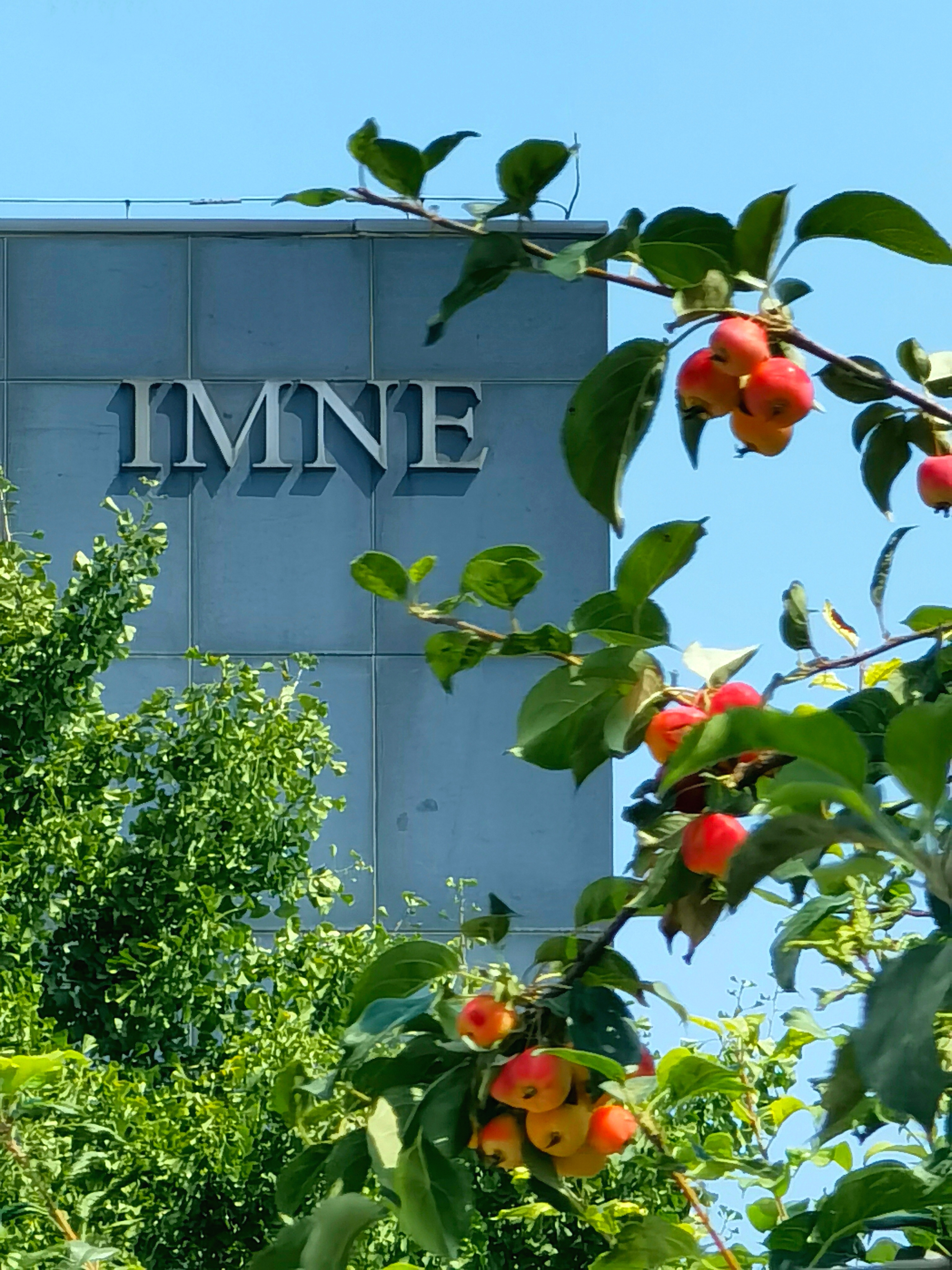 2caed46a244d406193e7d7b33763cc77.jpg 2caed46a244d406193e7d7b33763cc77.jpg